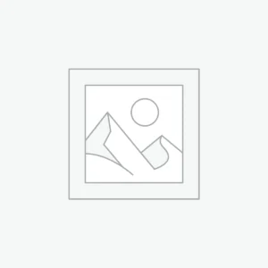 AI Data Insights